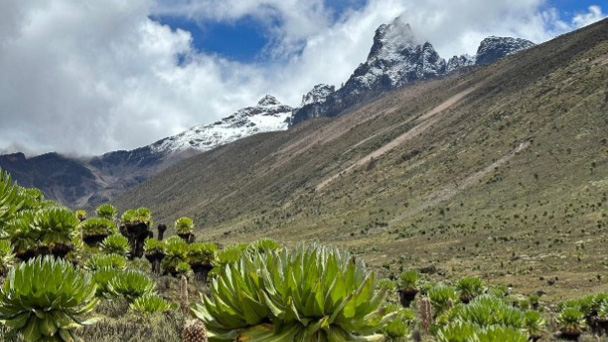 部分的に雲に覆われた空の下、ケニア山の巨大なロベリアと険しい山々の壮大な風景。