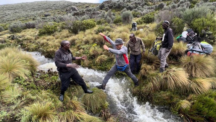 山の水で釣ったばかりのニジマスが苔むした岩の上に置かれている。