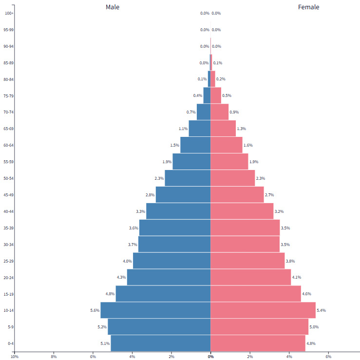 若年層の割合が高いことを示すエジプトの人口ピラミッドで、急速な人口増加と若年人口の多さを表している。