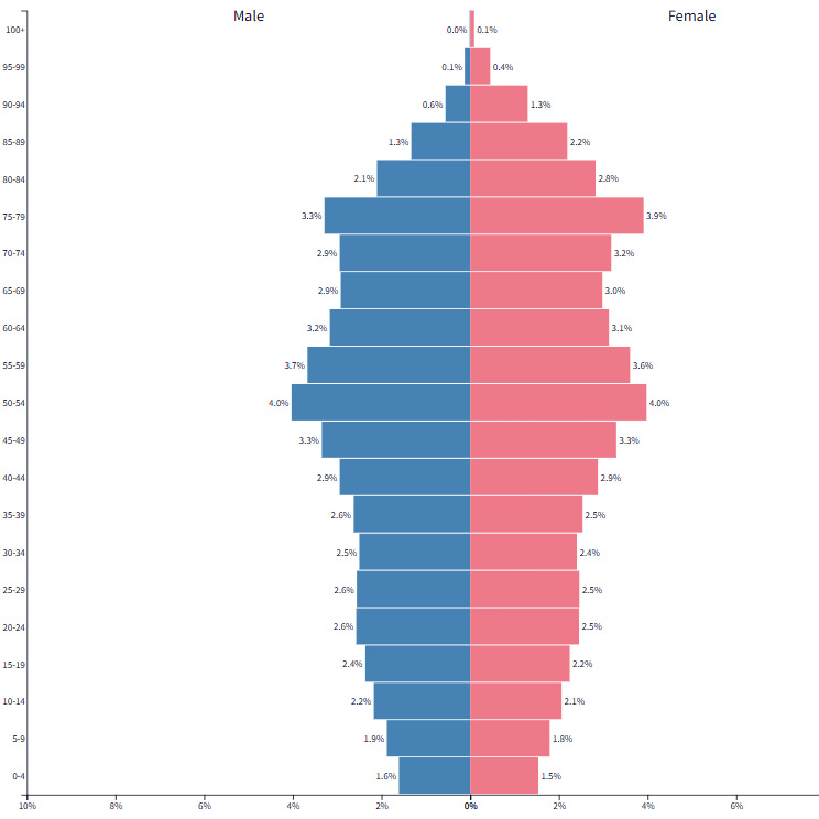 底辺が狭く高齢層が多い日本の人口ピラミッドで、少子高齢化の進行を示している。