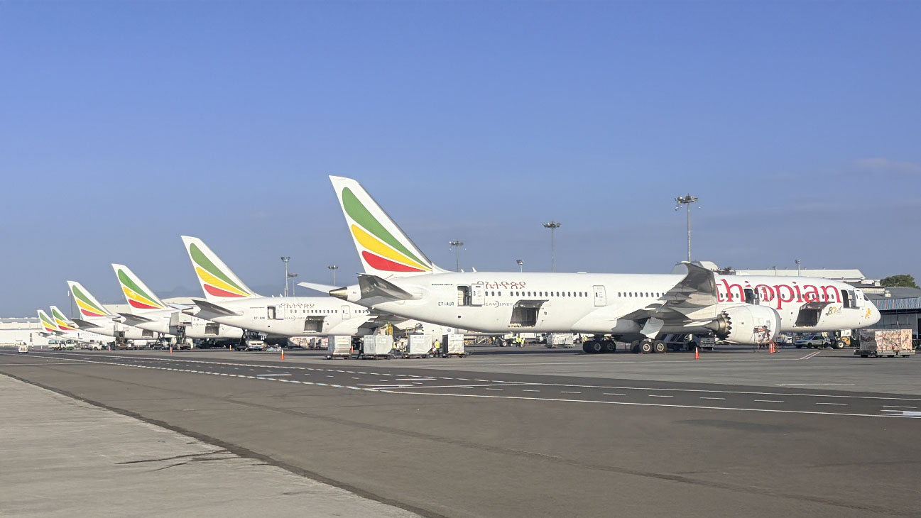 Multiple Ethiopian Airlines aircraft lined up on the apron at Addis Ababa airport, showing the scale of its fleet.