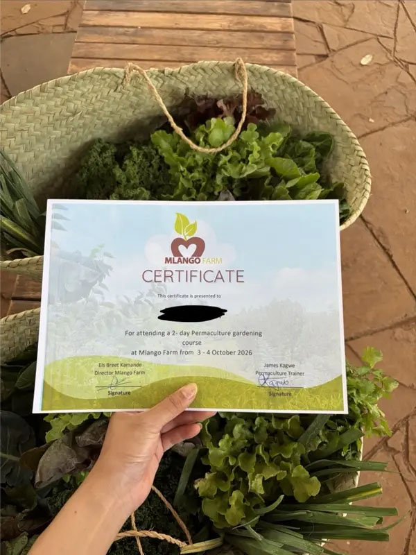 Certificate of completion for a two-day permaculture gardening course at Mlango Farm in Kenya, held above a woven basket filled with freshly harvested vegetables.